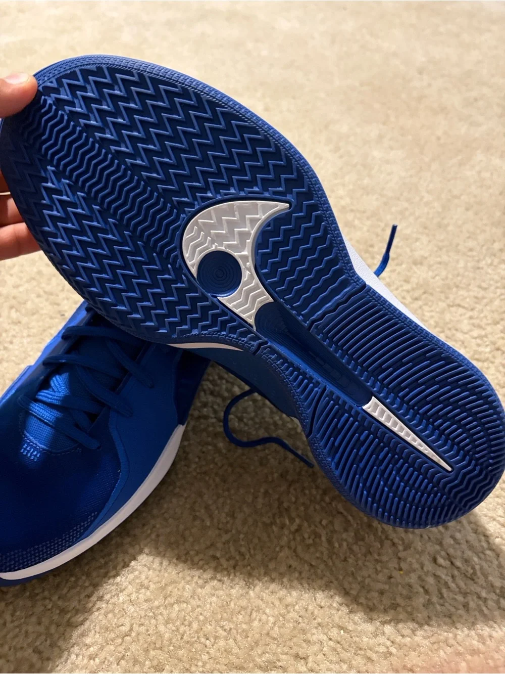 Nike Men's Royal Blue Athletic Sneakers